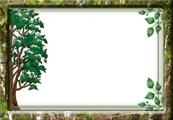 カテゴリのフォトエフェクト いろいろ № 3732