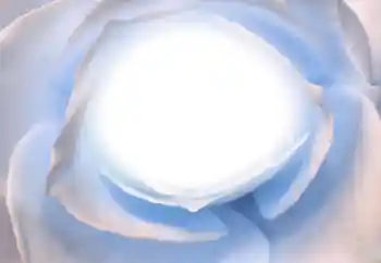 カテゴリのフォトエフェクト いろいろ № 38328 カテゴリのフォトエフェクト いろいろ № 38328