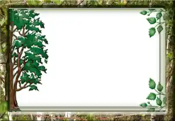 カテゴリのフォトエフェクト いろいろ № 38357 カテゴリのフォトエフェクト いろいろ № 38357