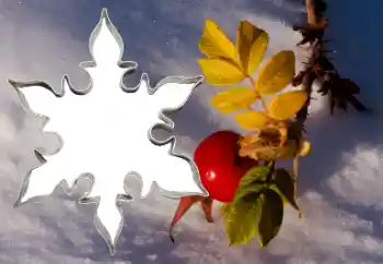 カテゴリのフォトエフェクト いろいろ № 38548 カテゴリのフォトエフェクト いろいろ № 38548