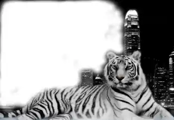 カテゴリのフォトエフェクト いろいろ № 38947 カテゴリのフォトエフェクト いろいろ № 38947