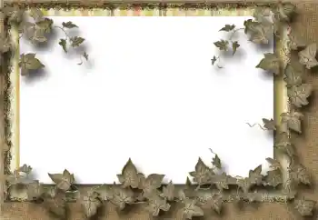 カテゴリのフォトエフェクト いろいろ № 39069 カテゴリのフォトエフェクト いろいろ № 39069