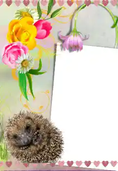 カテゴリのフォトエフェクト いろいろ № 39281 カテゴリのフォトエフェクト いろいろ № 39281