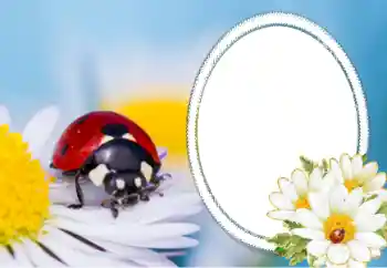 カテゴリのフォトエフェクト いろいろ № 40356 カテゴリのフォトエフェクト いろいろ № 40356