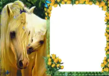 カテゴリのフォトエフェクト いろいろ № 40511 カテゴリのフォトエフェクト いろいろ № 40511