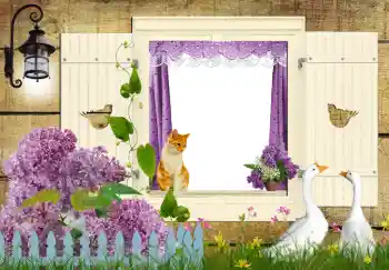 カテゴリのフォトエフェクト いろいろ № 42597 カテゴリのフォトエフェクト いろいろ № 42597