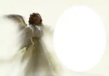 カテゴリのフォトエフェクト いろいろ № 4541