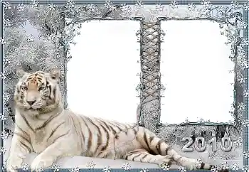 カテゴリのフォトエフェクト いろいろ № 45917 カテゴリのフォトエフェクト いろいろ № 45917