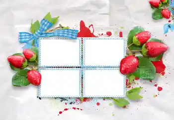 カテゴリのフォトエフェクト いろいろ № 47209 カテゴリのフォトエフェクト いろいろ № 47209