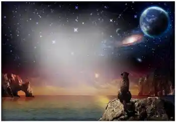 カテゴリのフォトエフェクト いろいろ № 49504 カテゴリのフォトエフェクト いろいろ № 49504