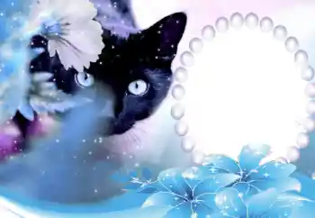 カテゴリのフォトエフェクト いろいろ № 50647 カテゴリのフォトエフェクト いろいろ № 50647