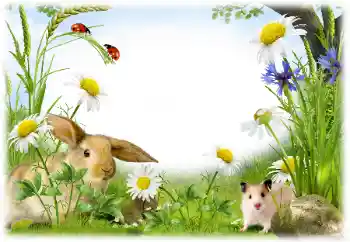 カテゴリのフォトエフェクト いろいろ № 50899 カテゴリのフォトエフェクト いろいろ № 50899