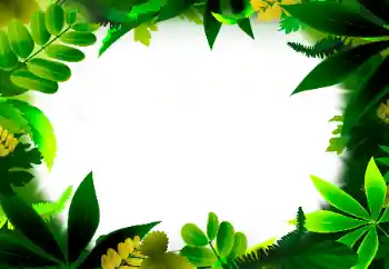 カテゴリのフォトエフェクト いろいろ № 56530 カテゴリのフォトエフェクト いろいろ № 56530