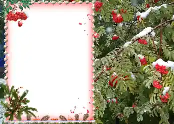 カテゴリのフォトエフェクト いろいろ № 581