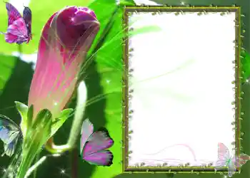 カテゴリのフォトエフェクト いろいろ № 586