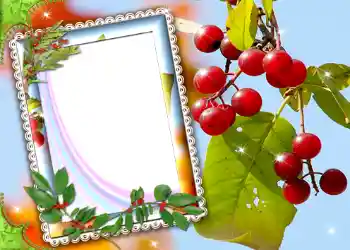 カテゴリのフォトエフェクト いろいろ № 587