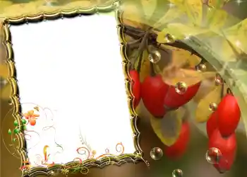 カテゴリのフォトエフェクト いろいろ № 588