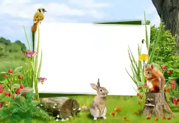 カテゴリのフォトエフェクト いろいろ № 59008 カテゴリのフォトエフェクト いろいろ № 59008