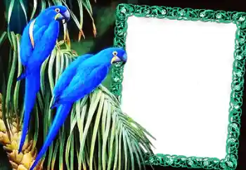 カテゴリのフォトエフェクト いろいろ № 60137 カテゴリのフォトエフェクト いろいろ № 60137