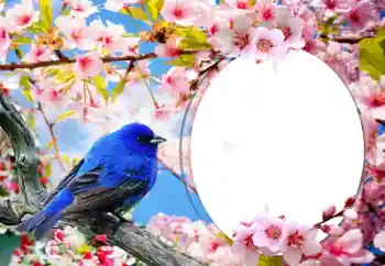 カテゴリのフォトエフェクト いろいろ № 60139 カテゴリのフォトエフェクト いろいろ № 60139