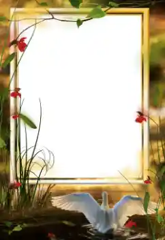 カテゴリのフォトエフェクト いろいろ № 64458 カテゴリのフォトエフェクト いろいろ № 64458