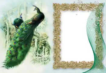 カテゴリのフォトエフェクト いろいろ № 64460 カテゴリのフォトエフェクト いろいろ № 64460