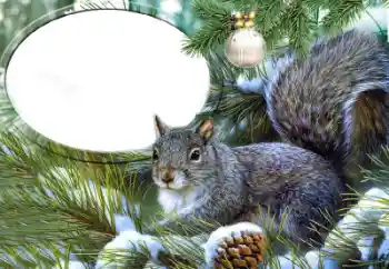 カテゴリのフォトエフェクト いろいろ № 65735