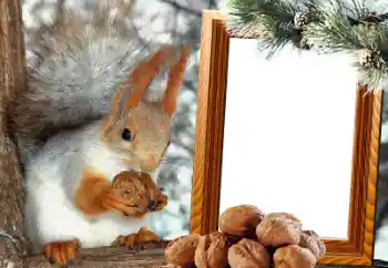 カテゴリのフォトエフェクト いろいろ № 65737