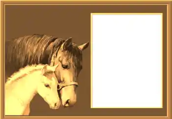 カテゴリのフォトエフェクト いろいろ № 67145