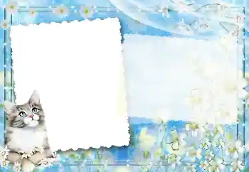 カテゴリのフォトエフェクト いろいろ № 67194