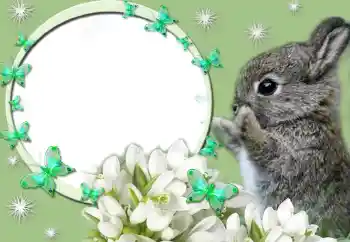 カテゴリのフォトエフェクト いろいろ № 67247