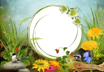 カテゴリのフォトエフェクト いろいろ № 68455