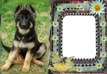 カテゴリのフォトエフェクト いろいろ № 68616