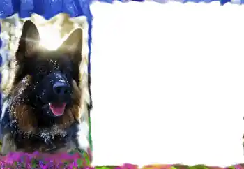 カテゴリのフォトエフェクト いろいろ № 68617