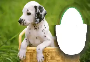 カテゴリのフォトエフェクト いろいろ № 68648