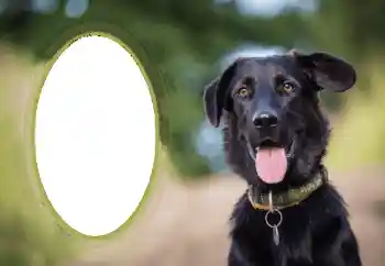 カテゴリのフォトエフェクト いろいろ № 68649