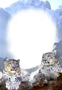 カテゴリのフォトエフェクト いろいろ № 68679