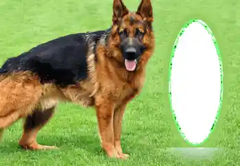 カテゴリのフォトエフェクト いろいろ № 68745