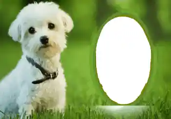 カテゴリのフォトエフェクト いろいろ № 68748