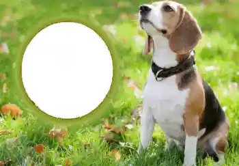 カテゴリのフォトエフェクト いろいろ № 68749