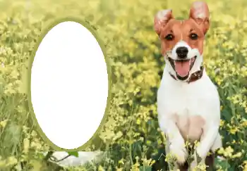 カテゴリのフォトエフェクト いろいろ № 68750