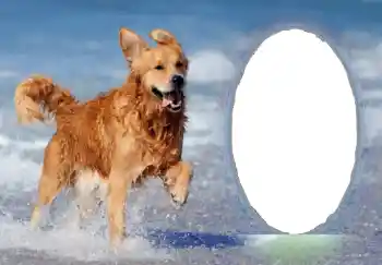 カテゴリのフォトエフェクト いろいろ № 68751