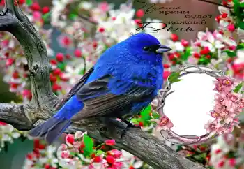 フレーム上の碑文: Пусть ярким будет каждый День...