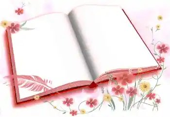 カテゴリのフォトエフェクト いろいろ № 72457