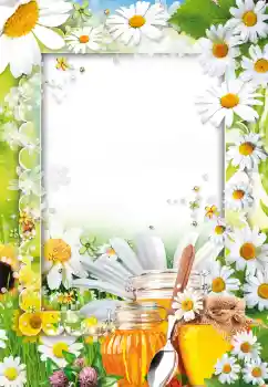 カテゴリのフォトエフェクト いろいろ № 73499