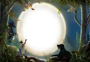 カテゴリのフォトエフェクト いろいろ № 7470