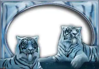 カテゴリのフォトエフェクト いろいろ № 7517