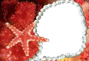 カテゴリのフォトエフェクト いろいろ № 80293