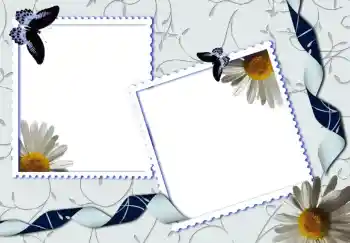 カテゴリのフォトエフェクト いろいろ № 80319