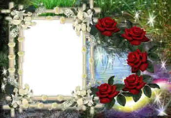 カテゴリのフォトエフェクト いろいろ № 80386